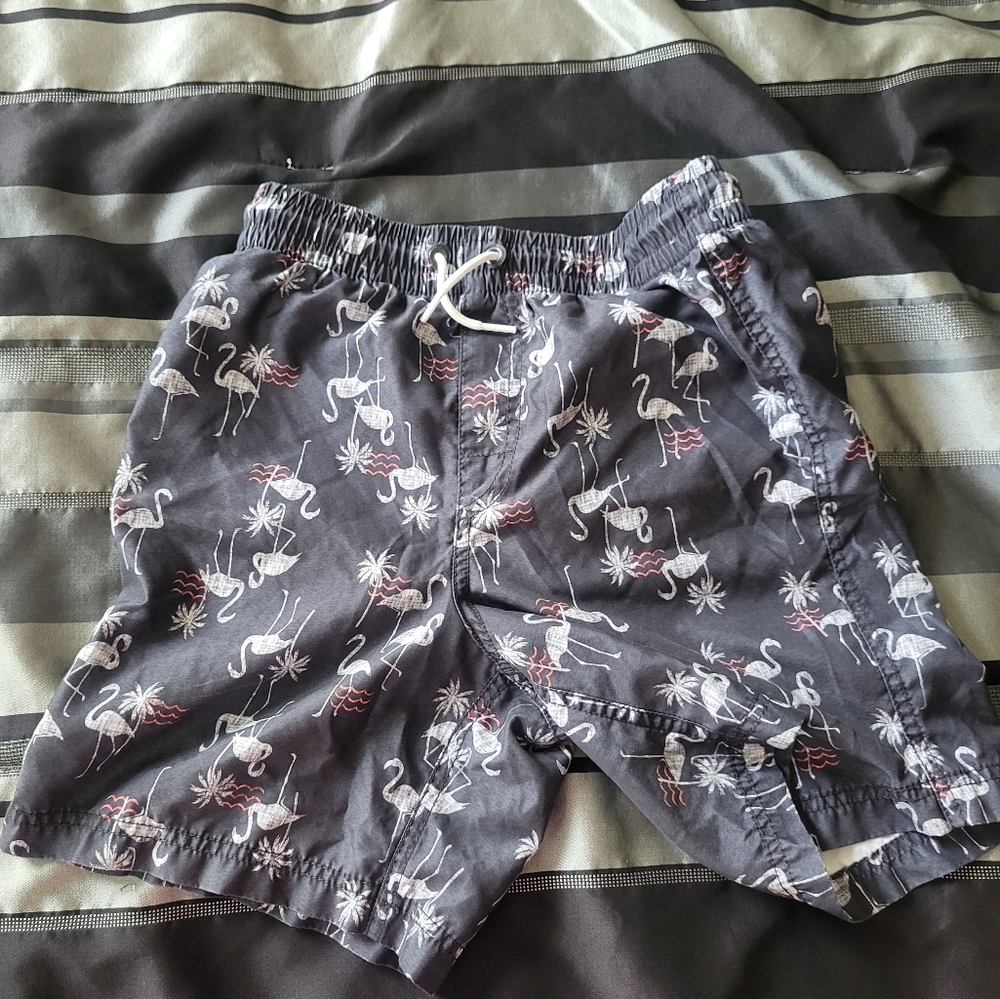 Gray Flamingo Print Swim Shorts